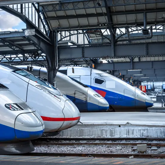 Plusieurs trains à grande vitesse à quai sous une grande halle.